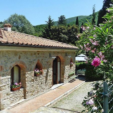 Holiday Home Casa Carla, Ripafratta المظهر الخارجي الصورة