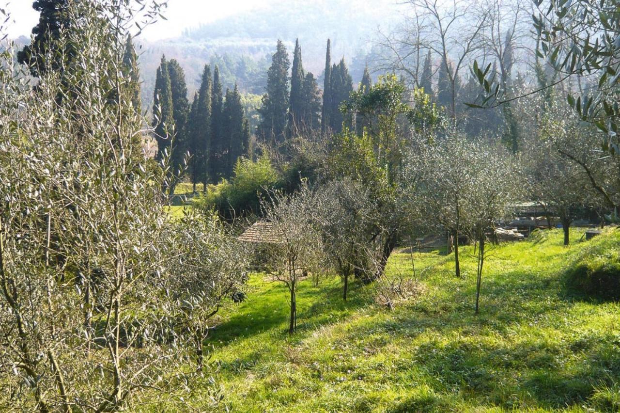 Holiday Home Casa Carla, Ripafratta المظهر الخارجي الصورة