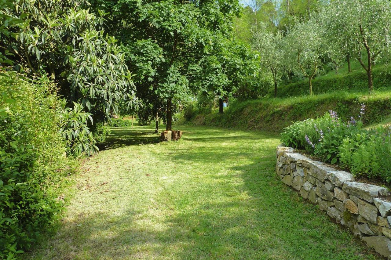 Holiday Home Casa Carla, Ripafratta المظهر الخارجي الصورة