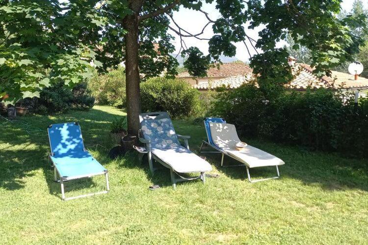 Holiday Home Casa Carla, Ripafratta المظهر الخارجي الصورة